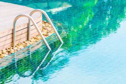 Pool vs Pond for Landscaping