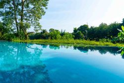 pond pools