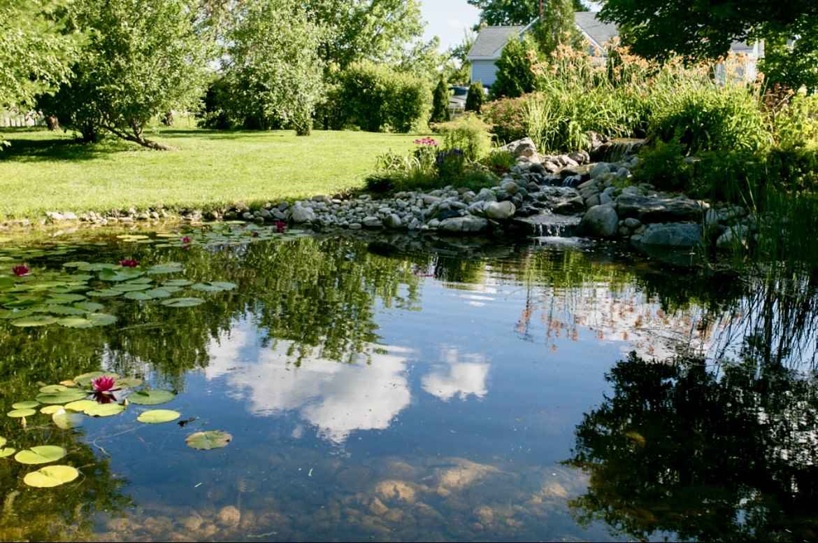 Add Oxygen to My Pond Naturally