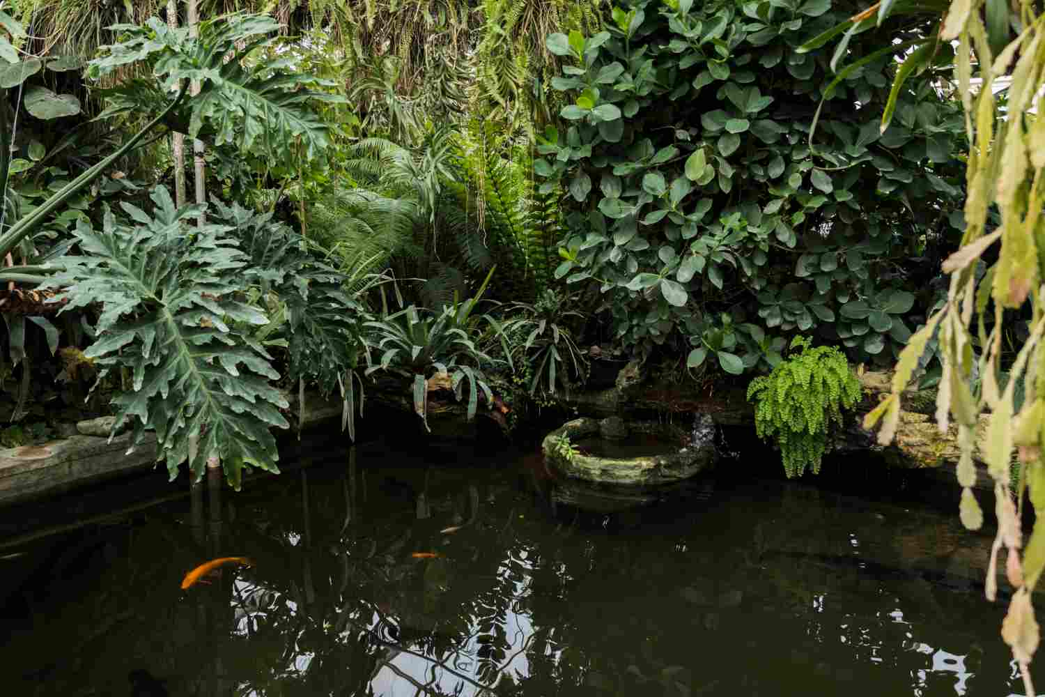 low oxygen in ponds