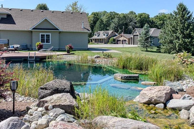 Professional Pond Redesign