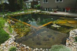 How to Keep Your Pond Looking Pristine All Summer Long—Trust the Experts