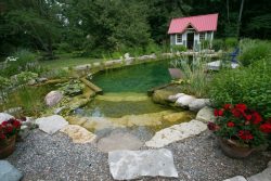 Fall Pond Maintenance—Preparing for Cooler Weather