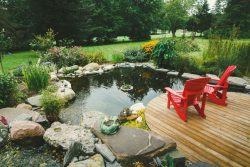 pond winterization