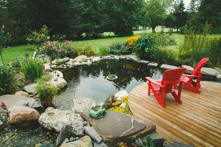 pond winterization